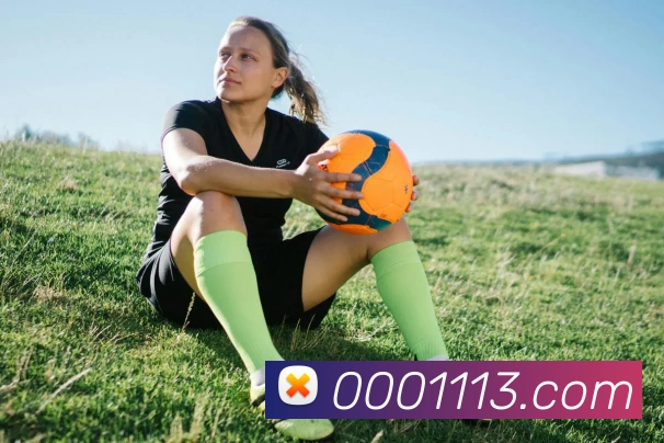 登录器